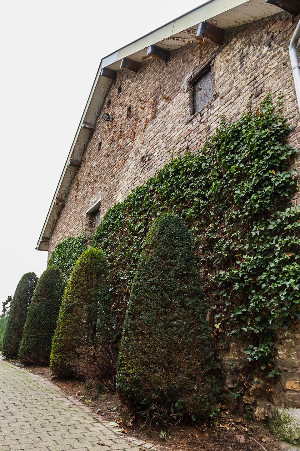 Foto 55 van Dorpsstraat 39