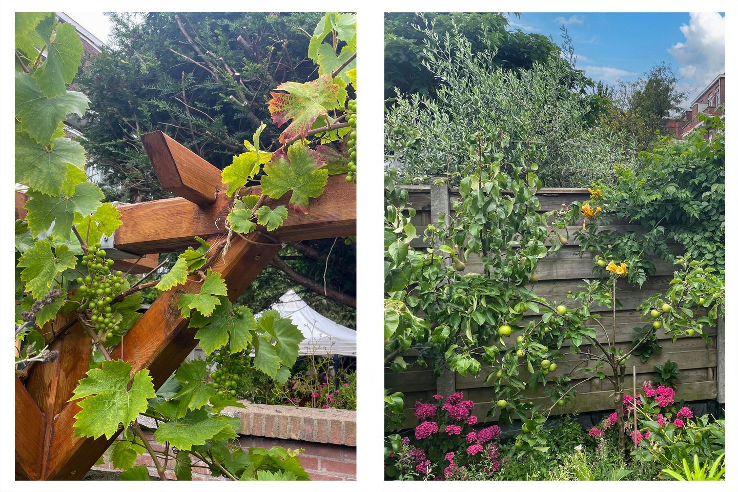 Foto 14 van Loosduinsekade 573