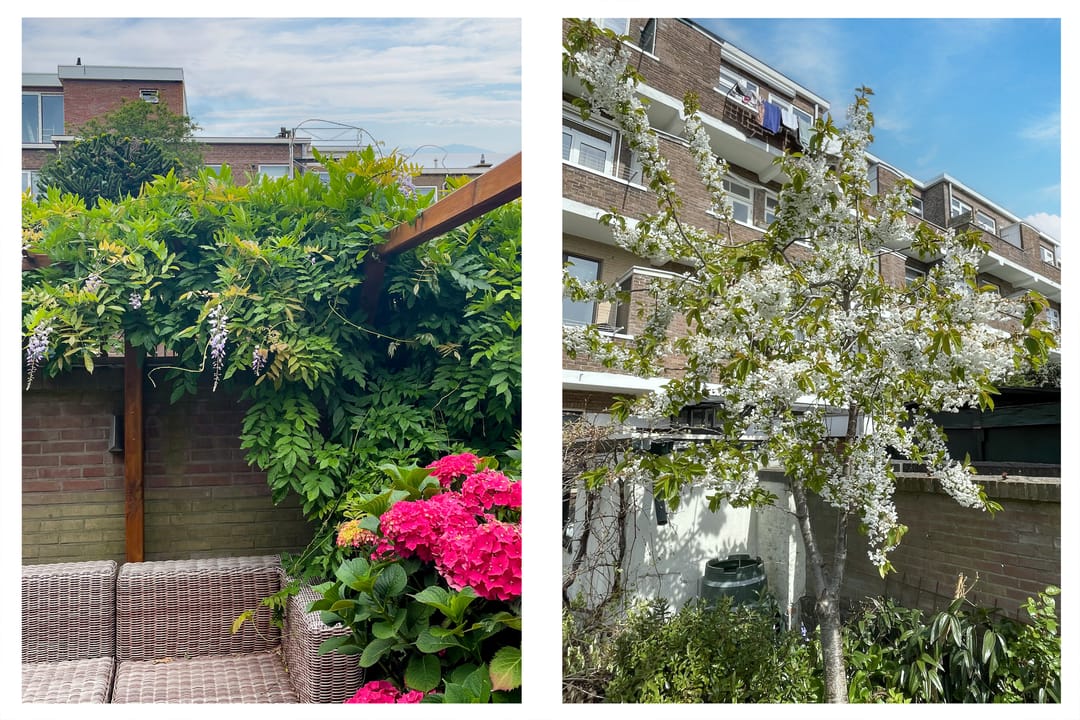 Foto 13 van Loosduinsekade 573