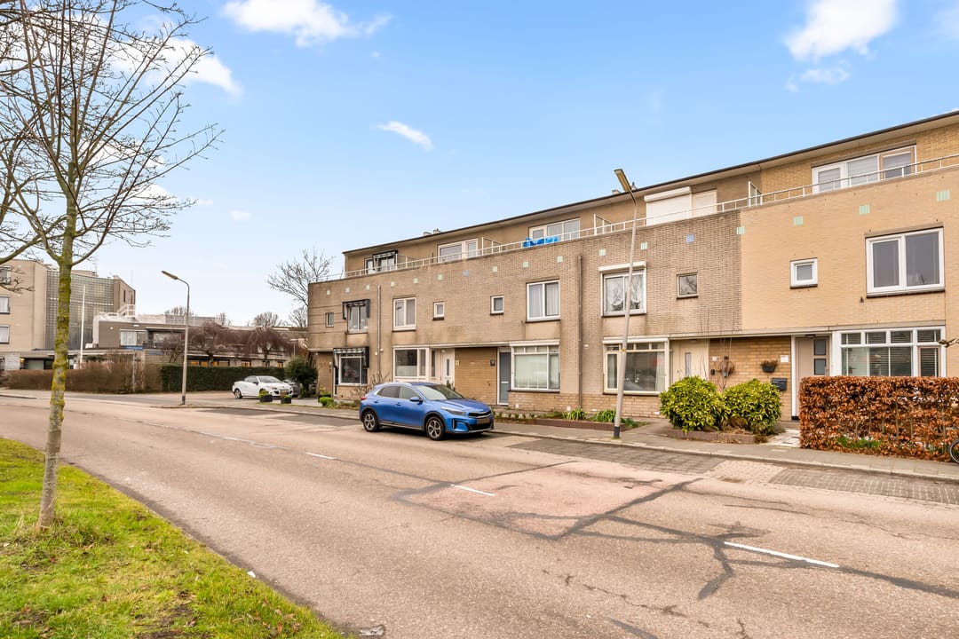 Photo 7 of Zon Bastion 11