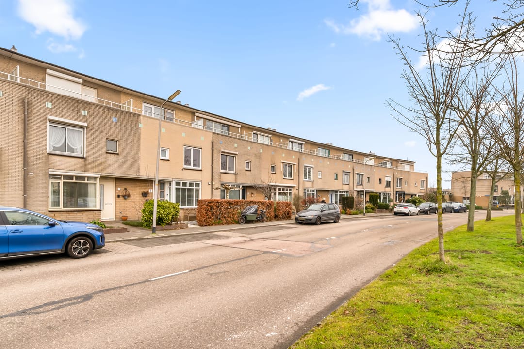 Photo 8 of Zon Bastion 11