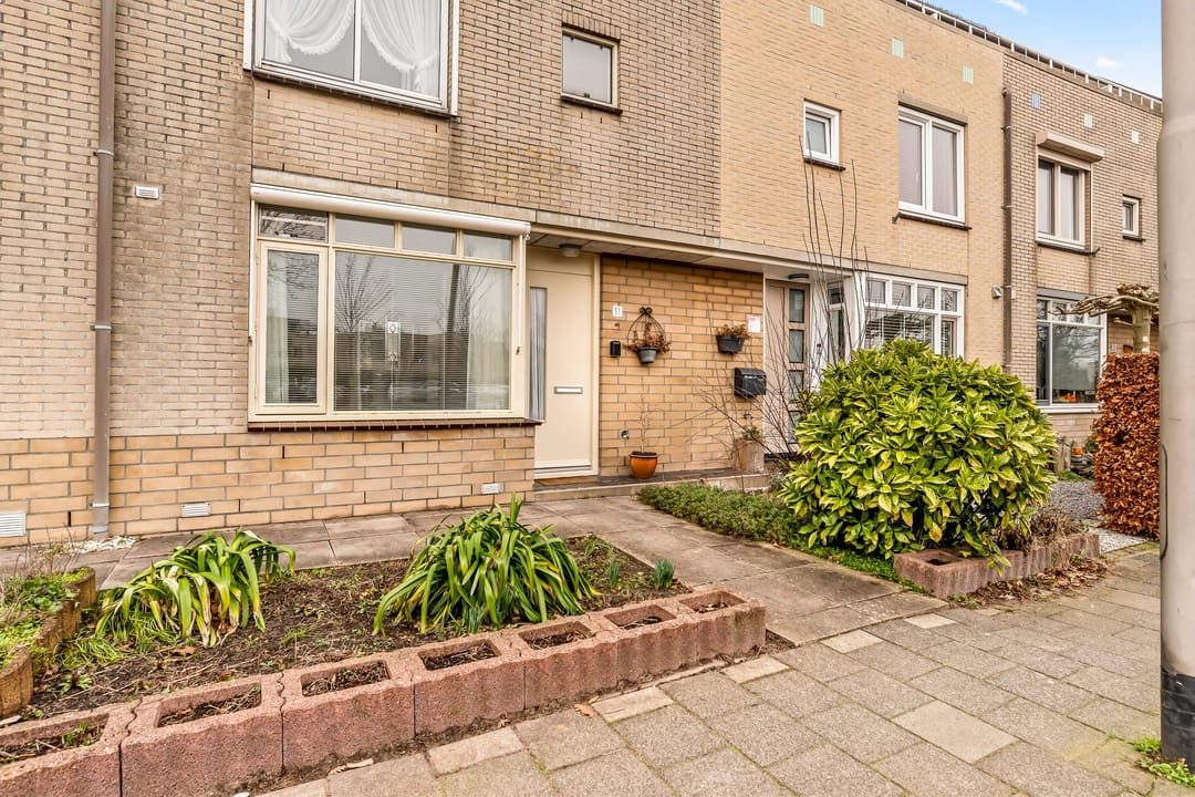 Photo 11 of Zon Bastion 11