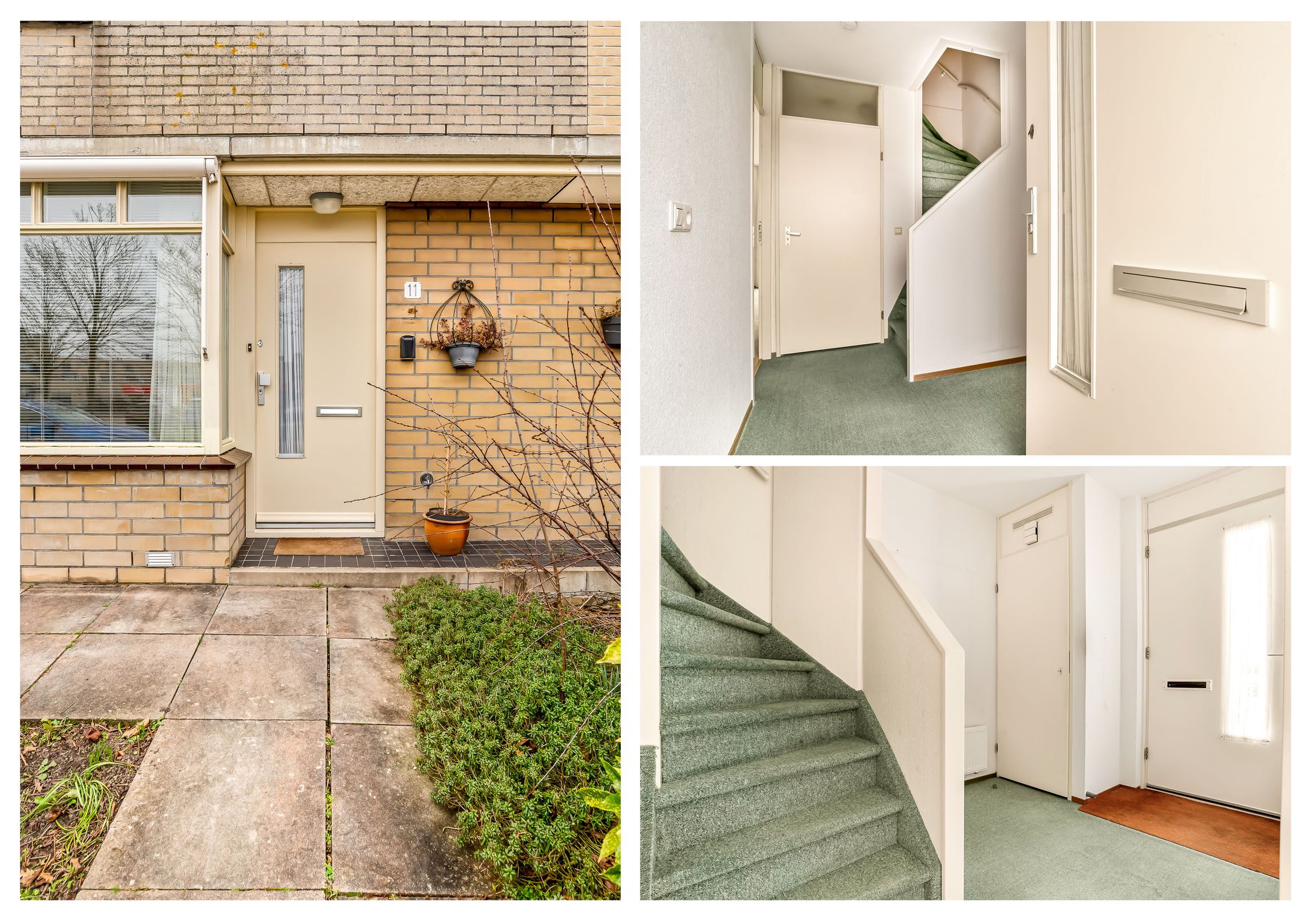 Photo 12 of Zon Bastion 11