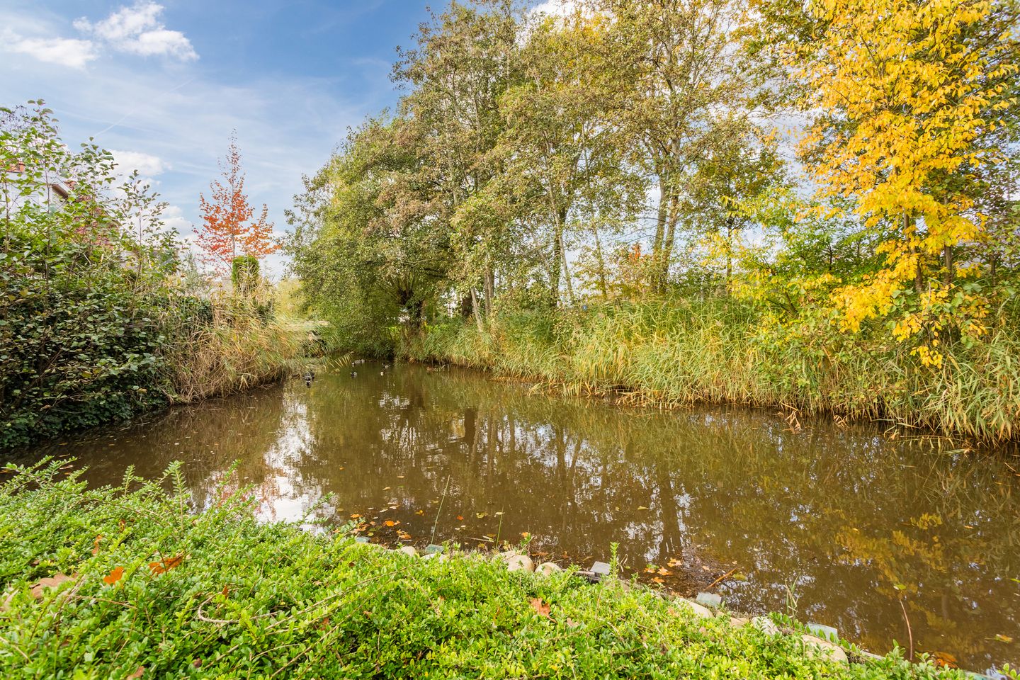 Photo 55 of Beethovendreef 16