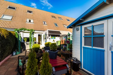 Vingerhoedskruid thumbnail