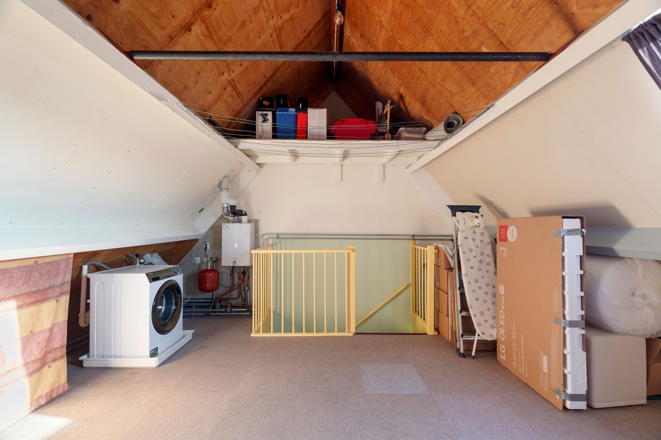 Photo 21 of Vingerhoedskruid 6