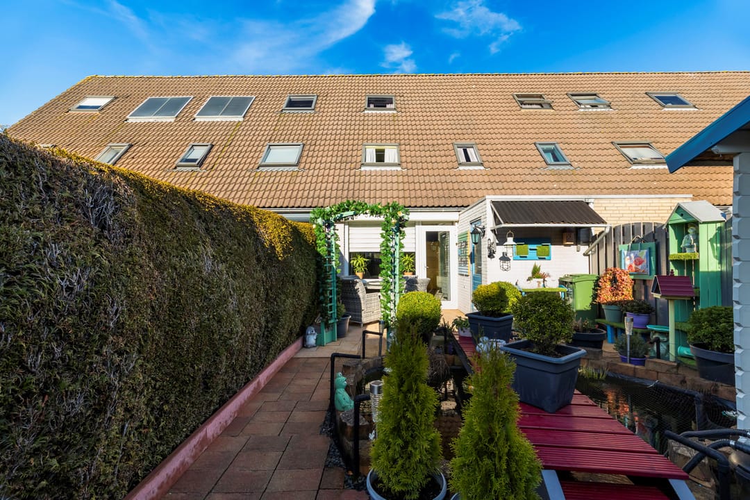 Photo 23 of Vingerhoedskruid 6