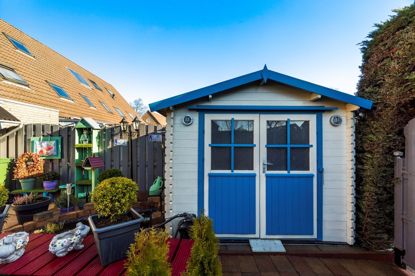 Photo 25 of Vingerhoedskruid 6