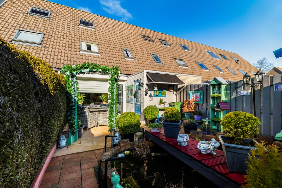 Photo 26 of Vingerhoedskruid 6