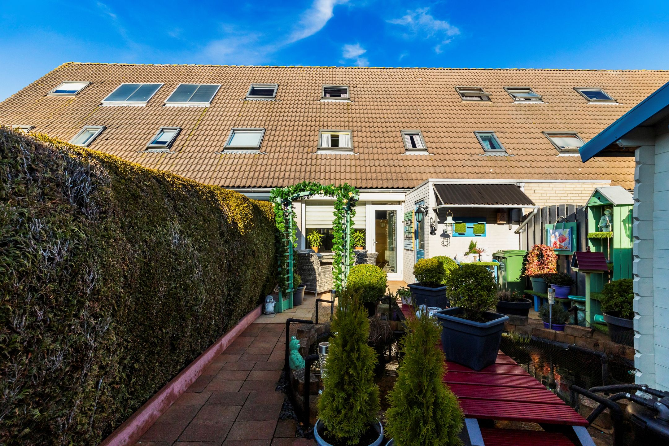 Photo 27 of Vingerhoedskruid 6