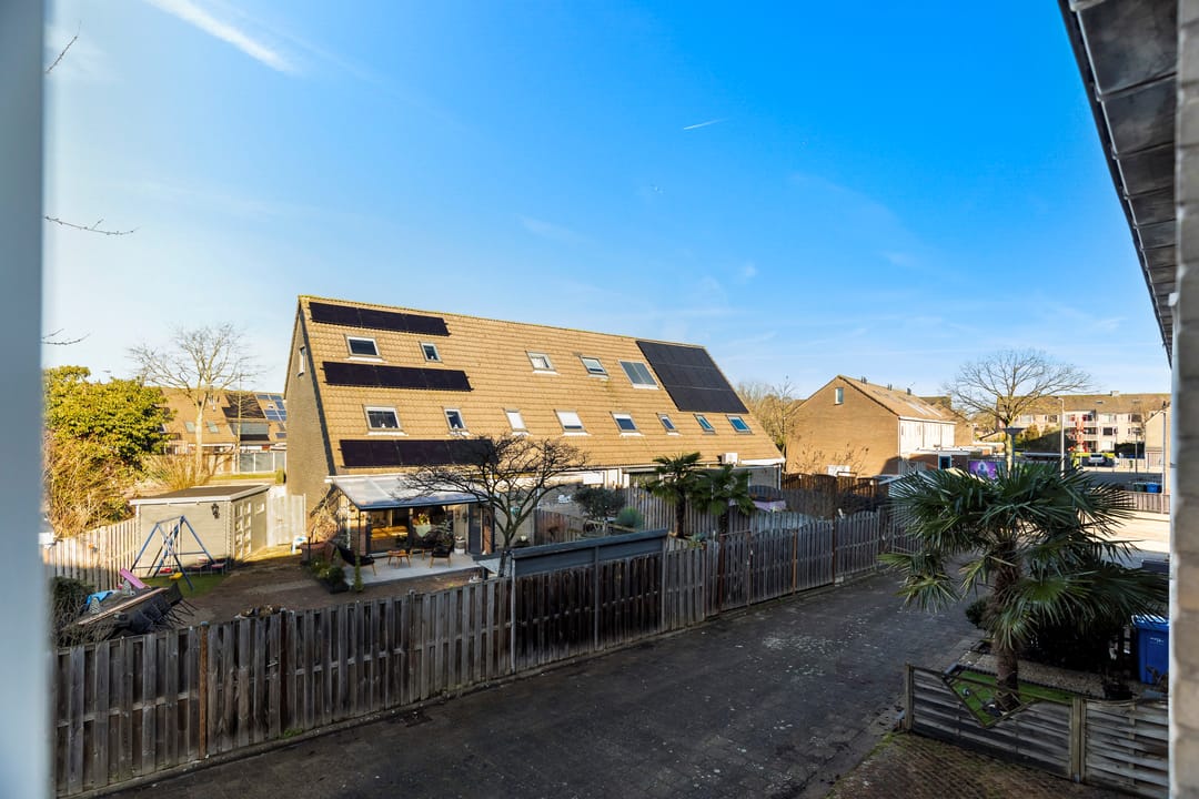 Photo 28 of Vingerhoedskruid 6