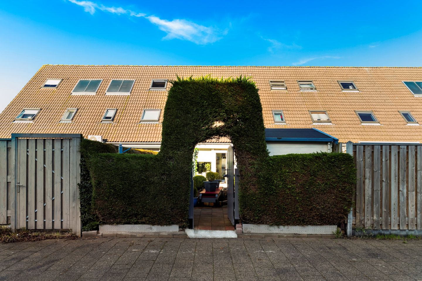 Photo 29 of Vingerhoedskruid 6