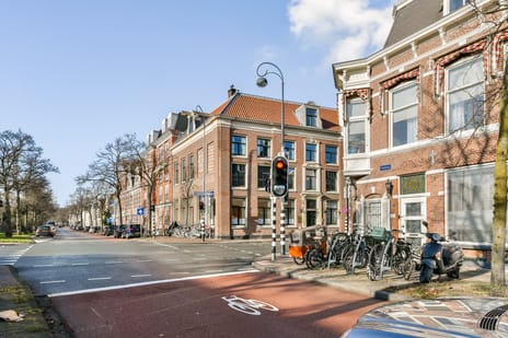 Parklaan 59 tertiary image