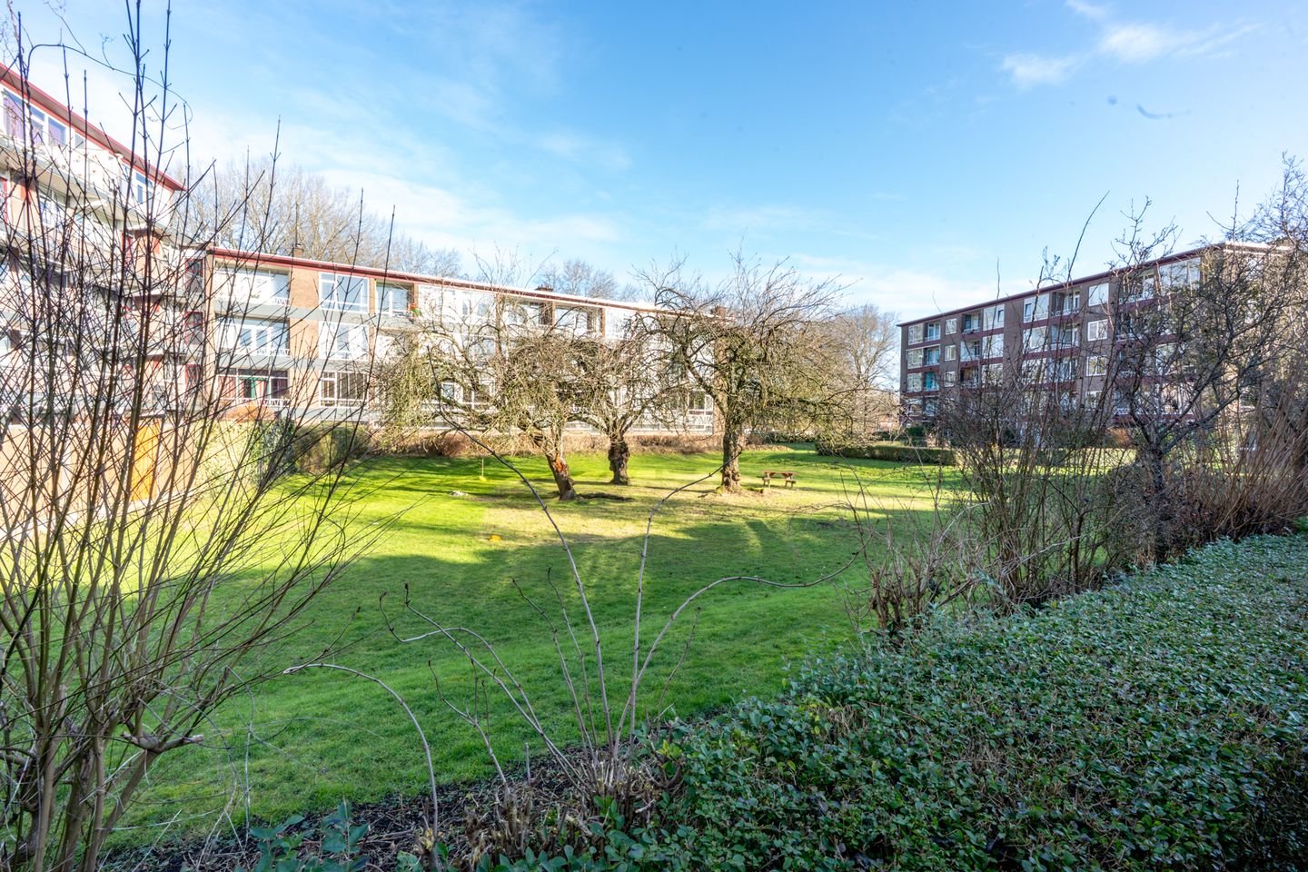 Foto 25 van Prinses Irenelaan 109