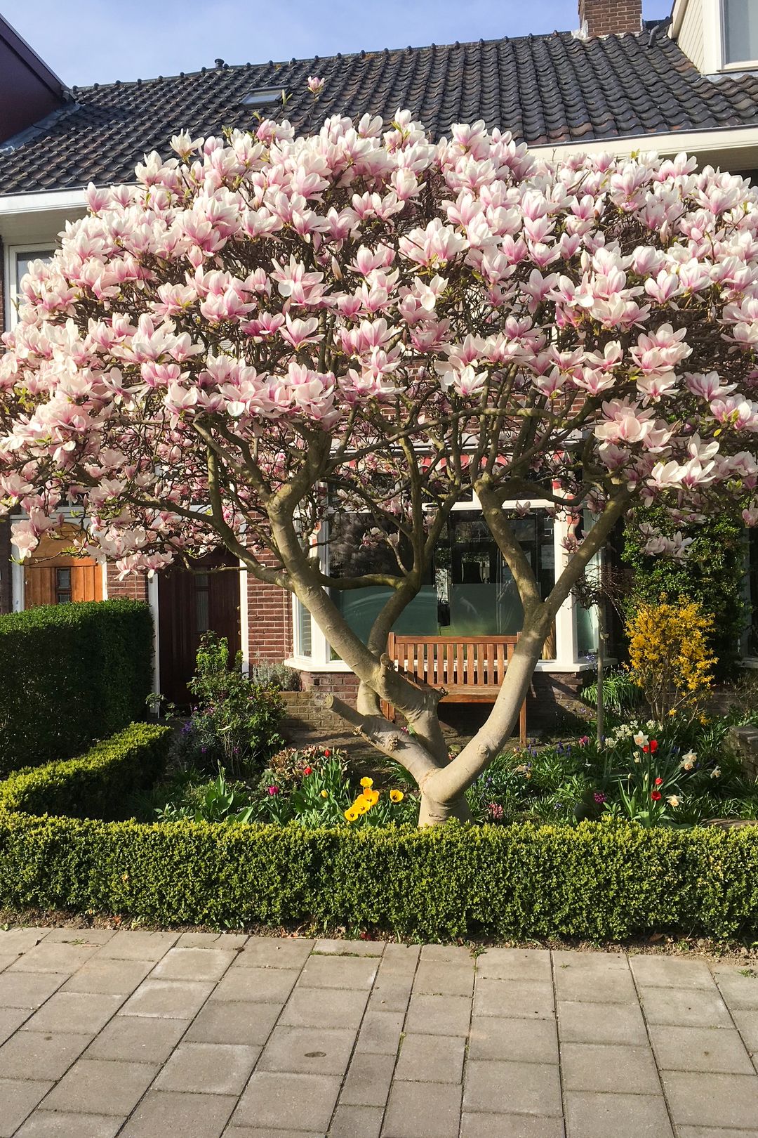 Foto 53 van Prinses Irenelaan 109