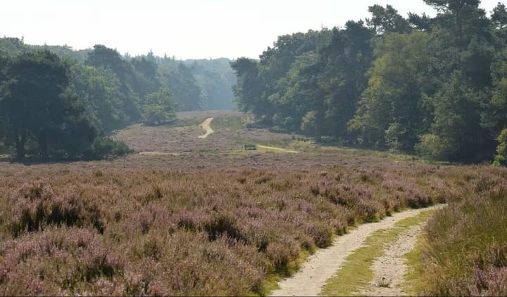 Photo 25 of Nieuwe Prinsenweg 7-58