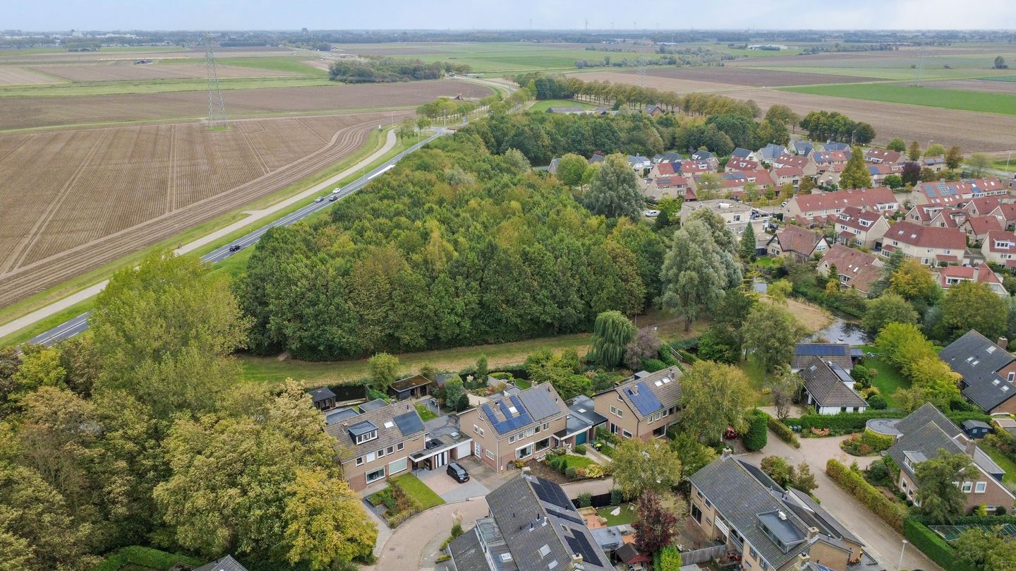 Foto 4 van Fazant 25