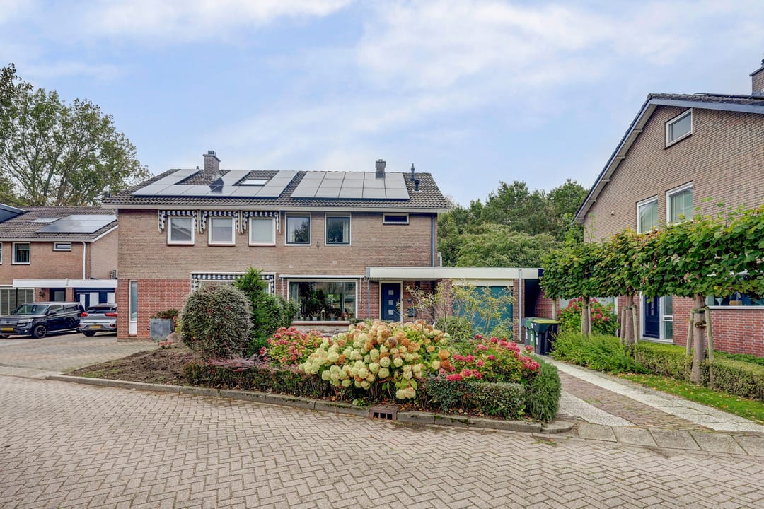 Foto 7 van Fazant 25