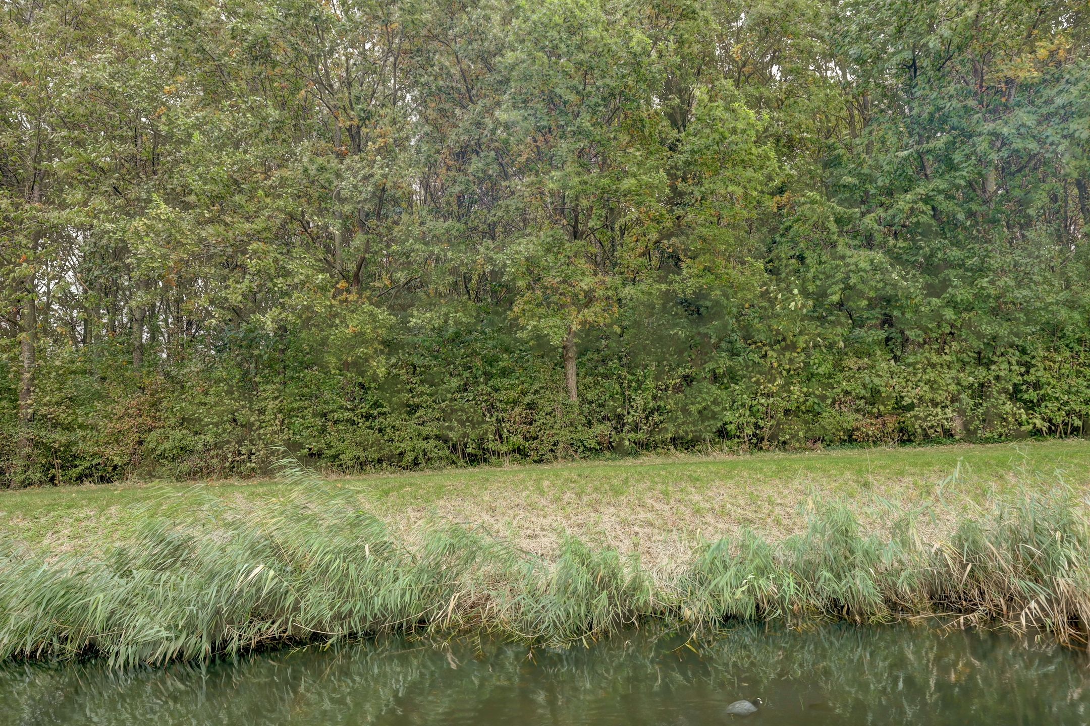 Foto 36 van Fazant 25