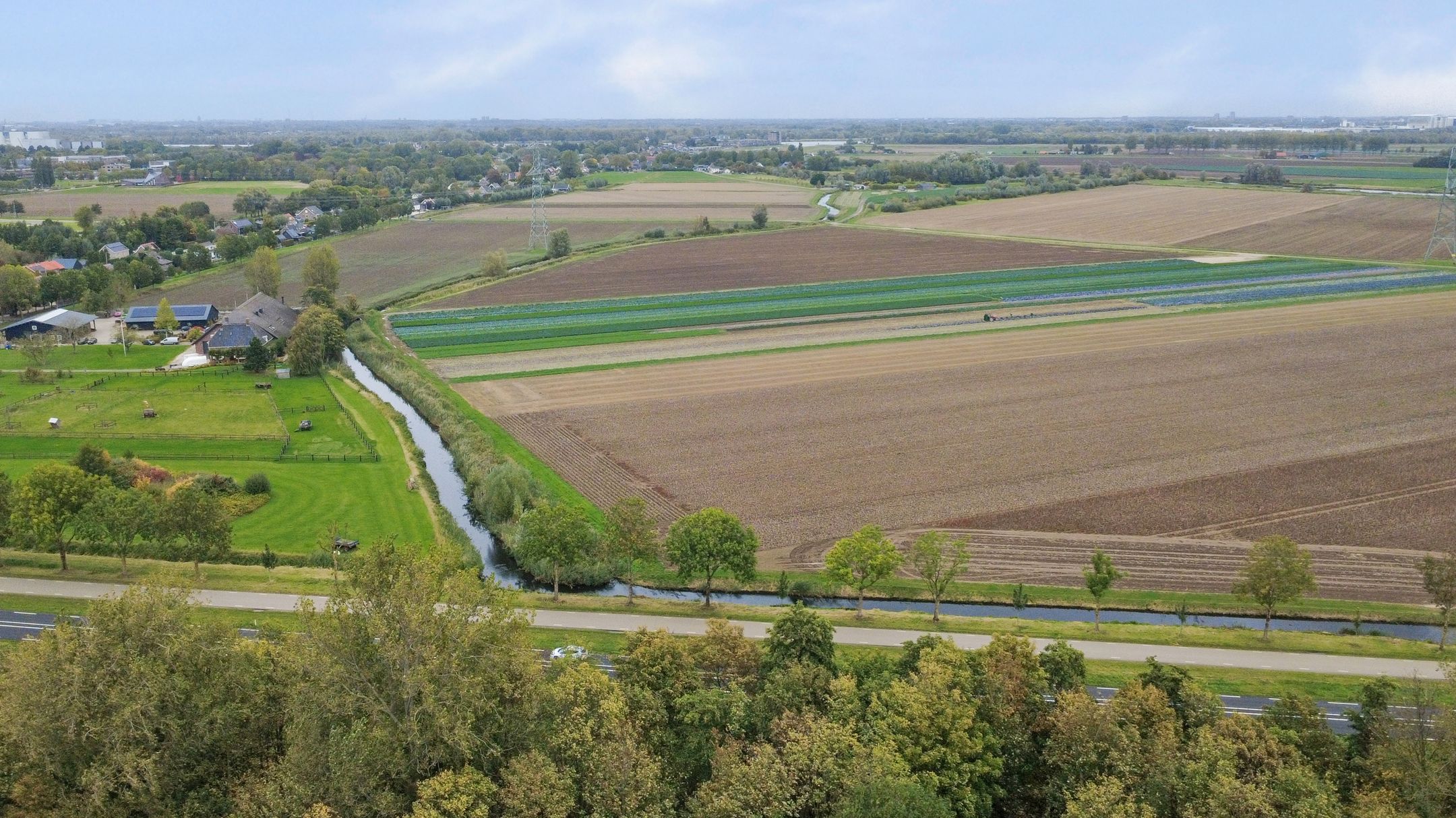 Foto 42 van Fazant 25