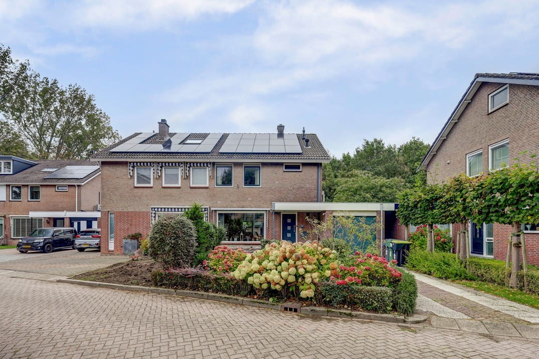 Foto 46 van Fazant 25