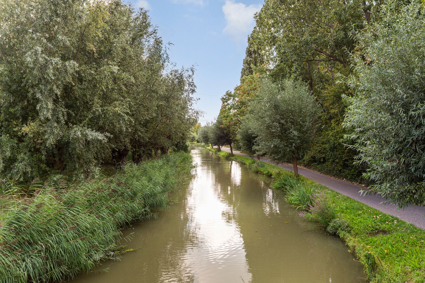Foto 4 van Populierendal 96