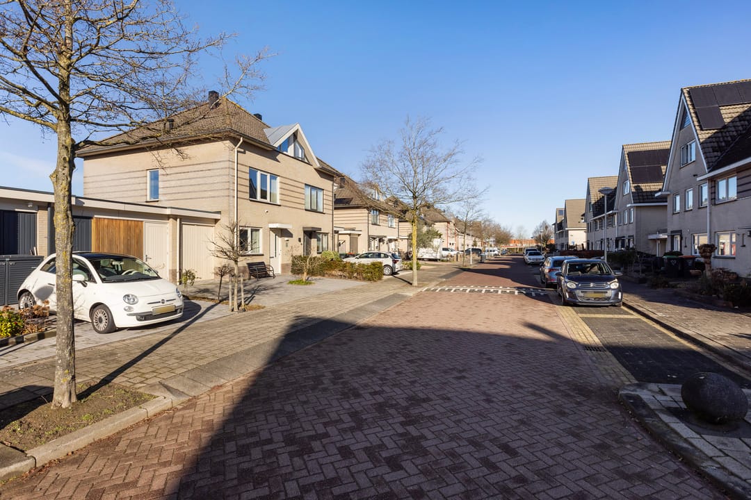 Photo 47 of Bezeel 43