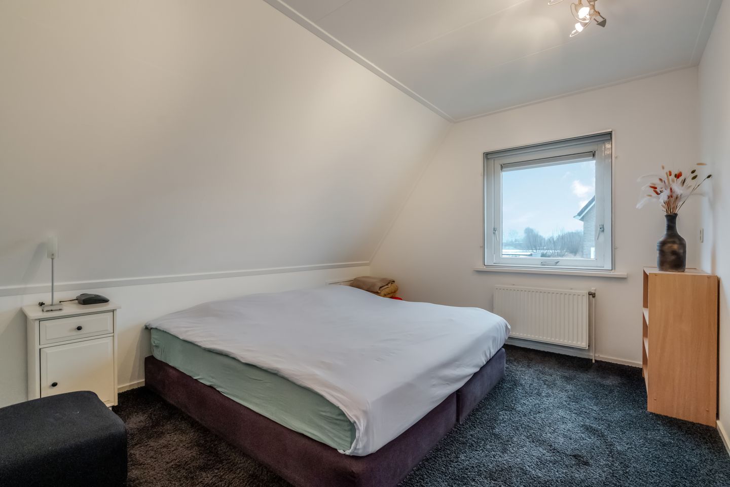 Foto 29 van Zilvermeer 50