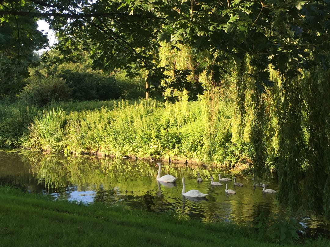 Foto 37 van Poortwachter 87