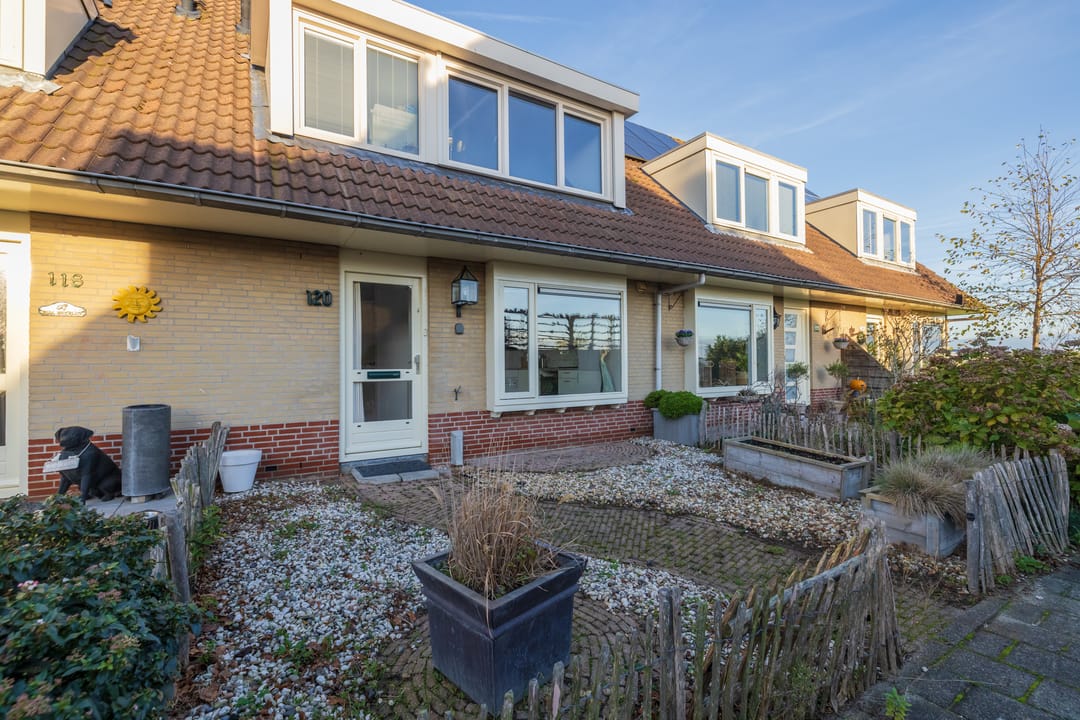 Foto 2 van Rietkraag 120