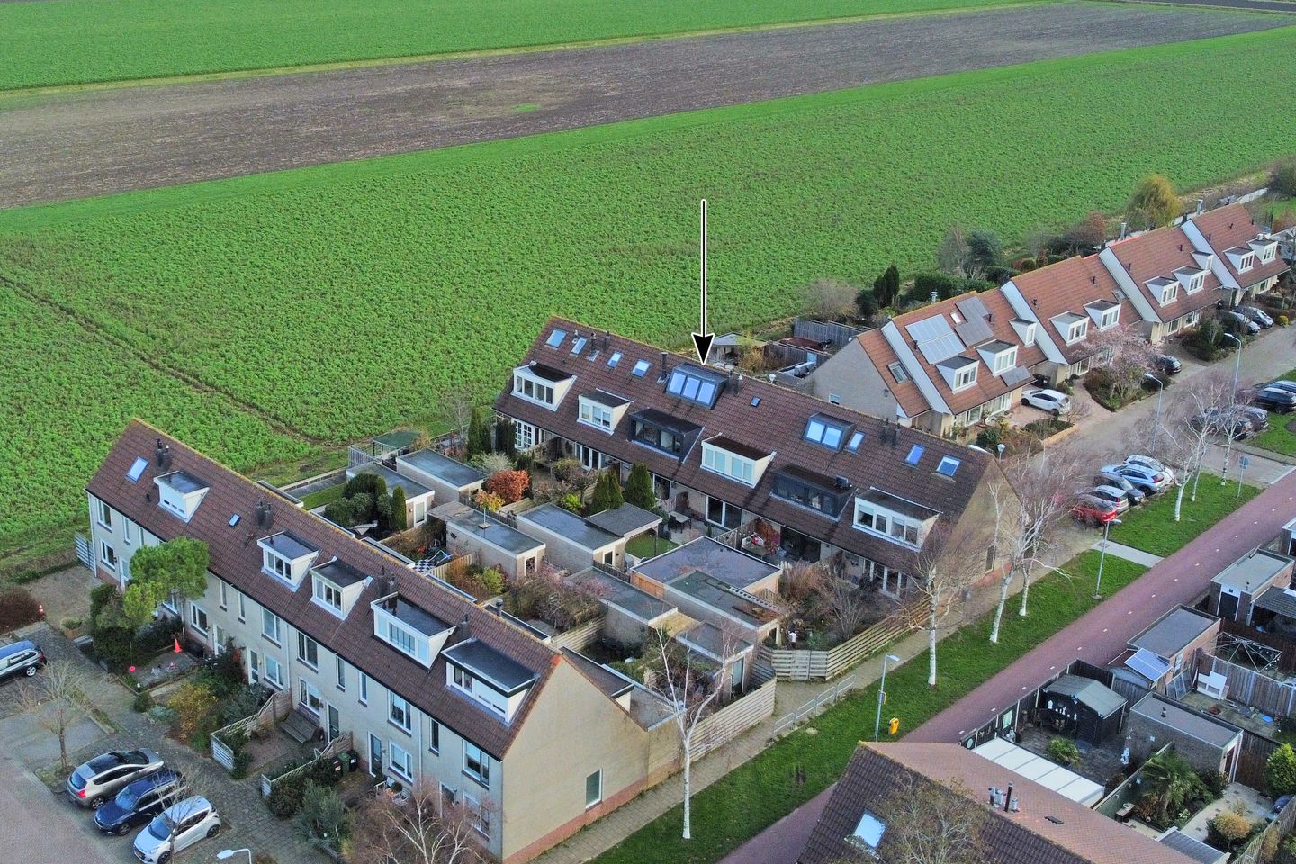 Foto 4 van Rietkraag 120