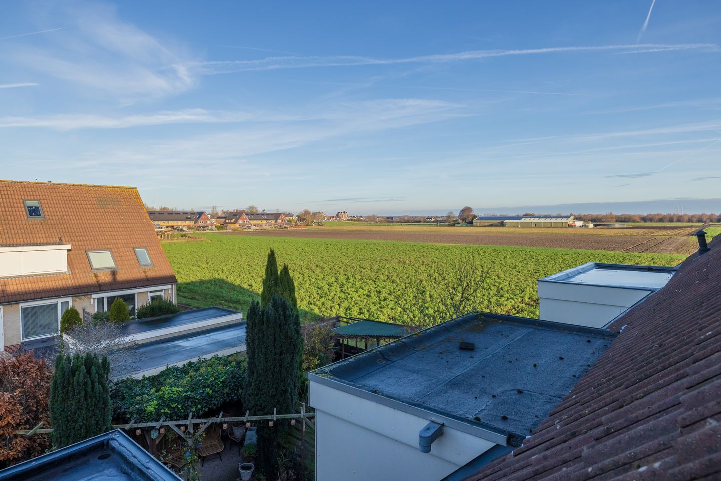 Foto 34 van Rietkraag 120