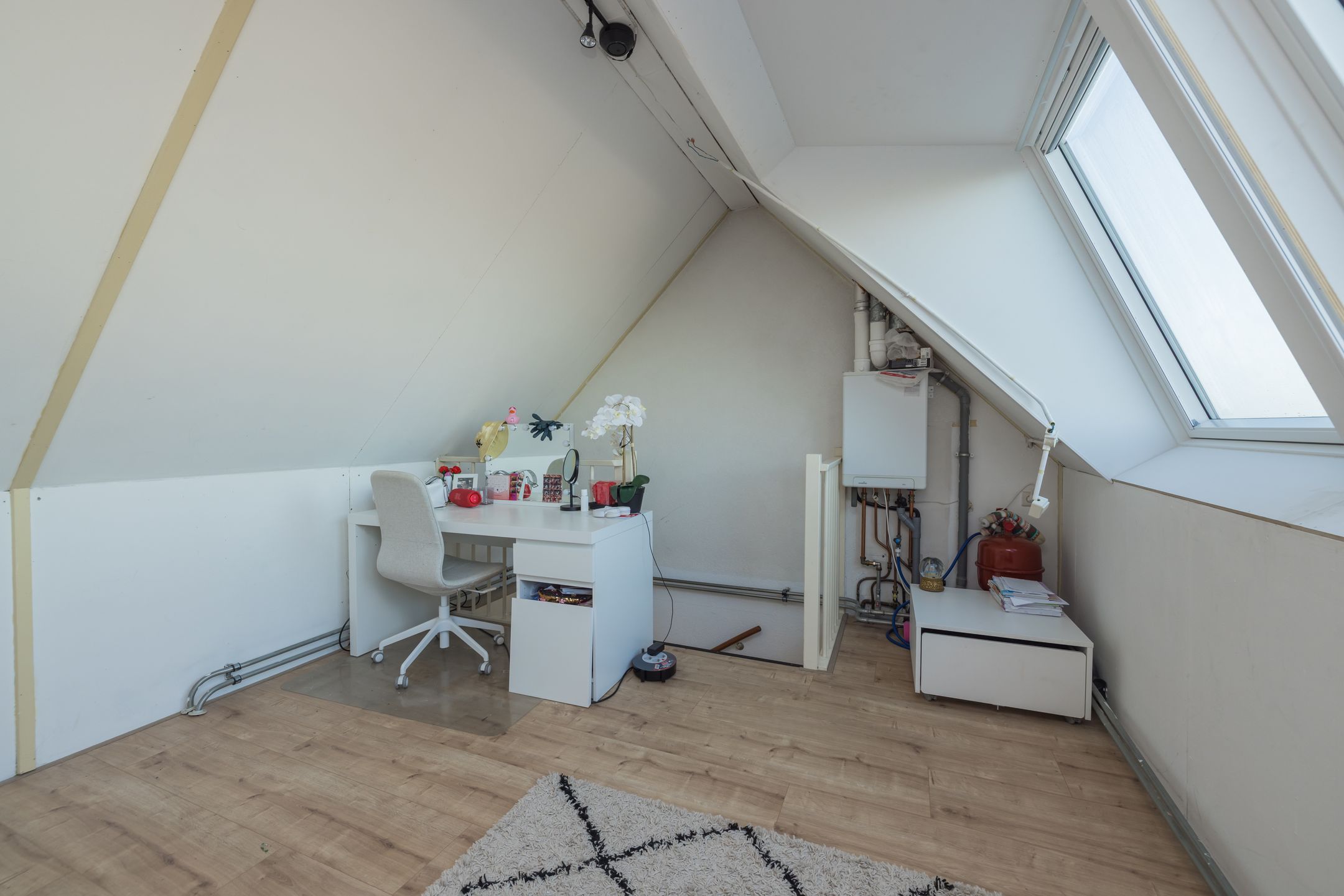 Foto 33 van Rietkraag 120