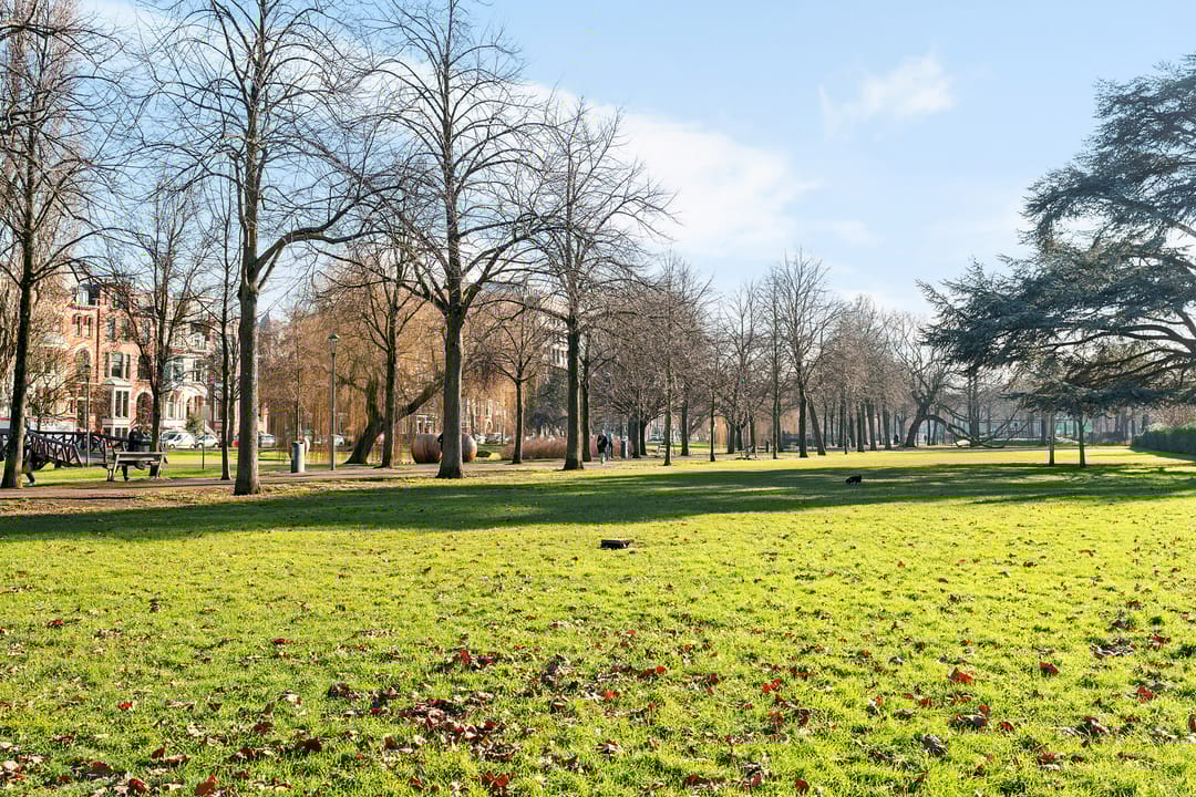 Foto 46 van Messchertstraat 37-B