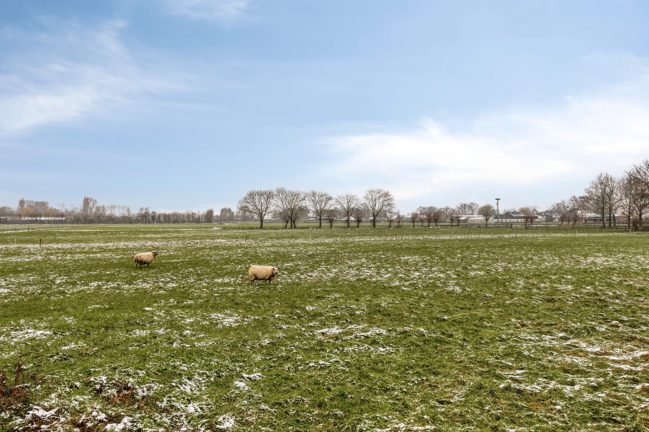 Foto 45 van Jan Coolenhof 31