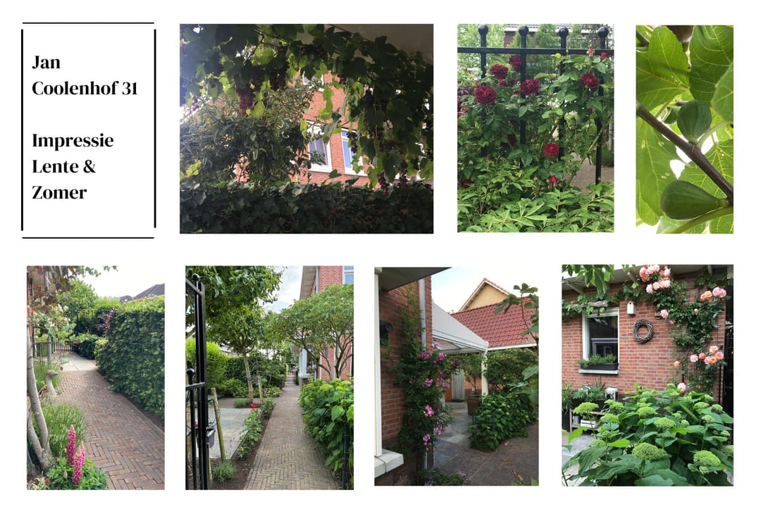 Foto 46 van Jan Coolenhof 31