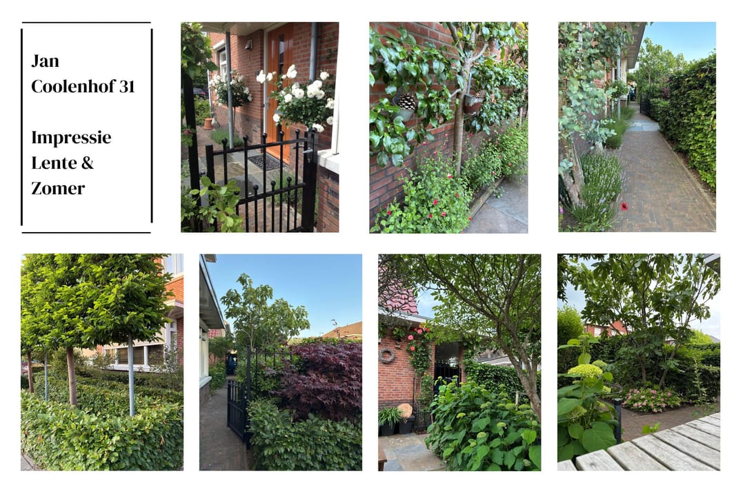 Foto 47 van Jan Coolenhof 31