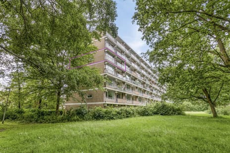 Frans Halslaan thumbnail