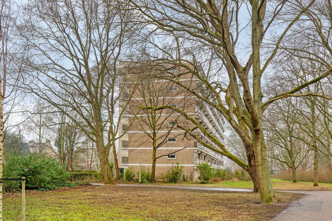 Foto 38 van Frans Halslaan 63