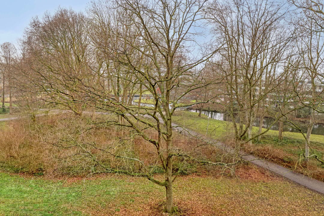 Foto 41 van Frans Halslaan 63