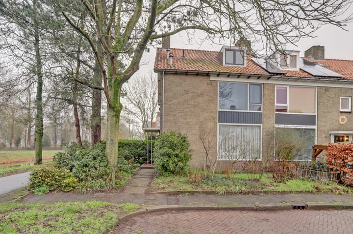 Foto 2 van Jacob Catssingel 46