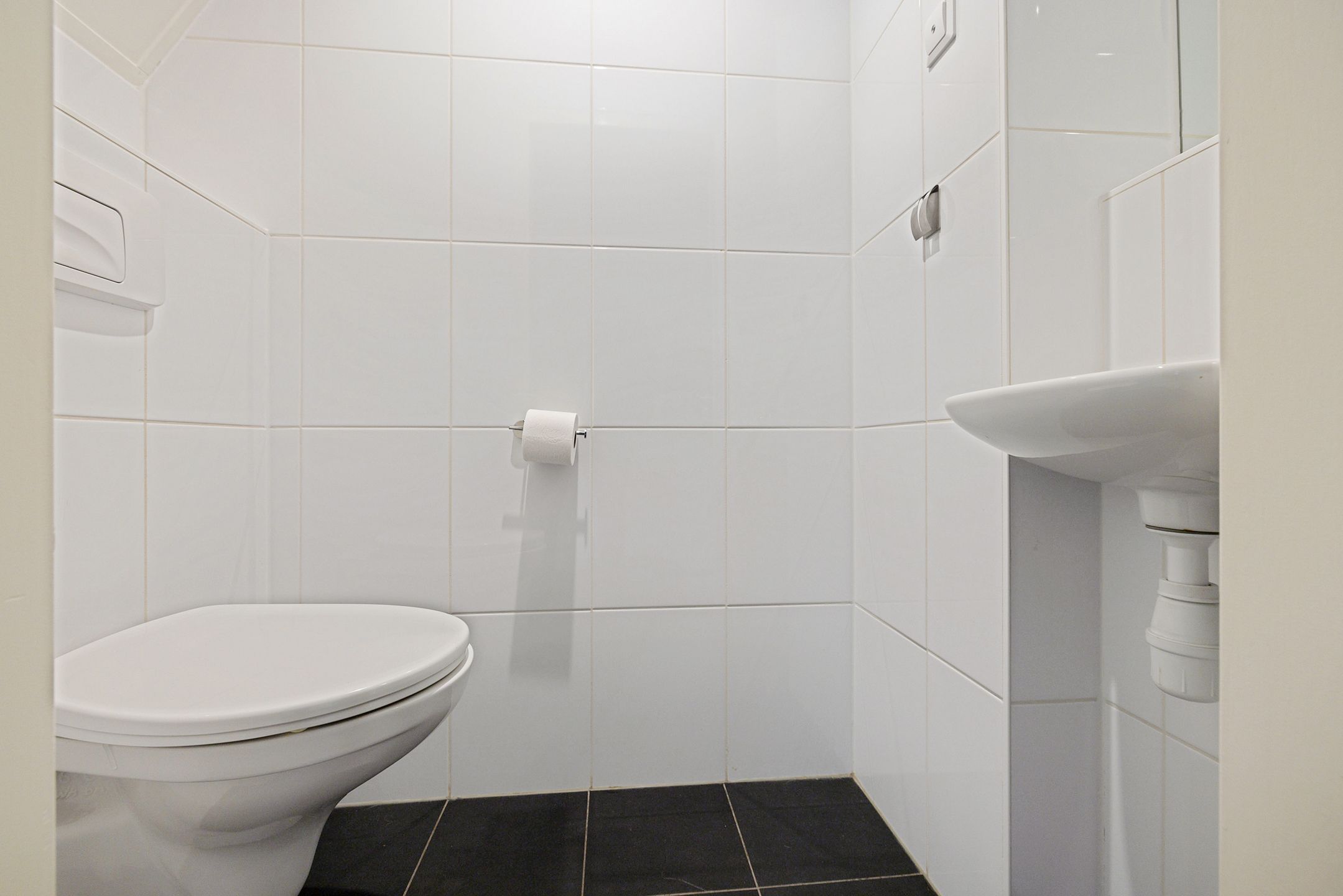 Foto 24 van Sleutelbloem 48