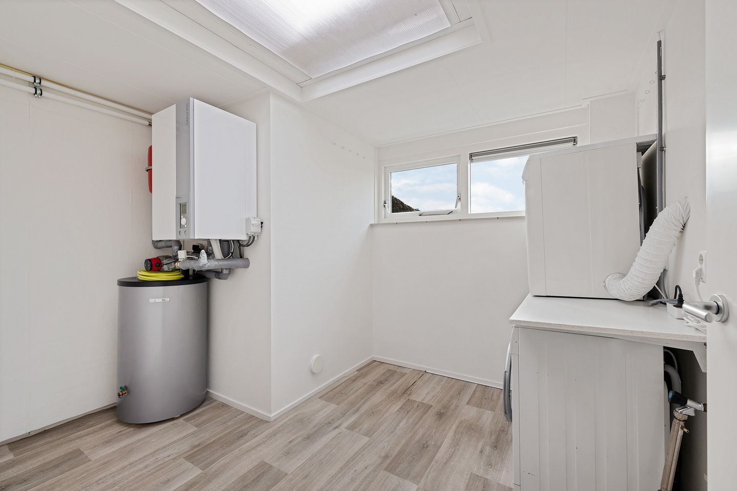 Foto 29 van Sleutelbloem 48