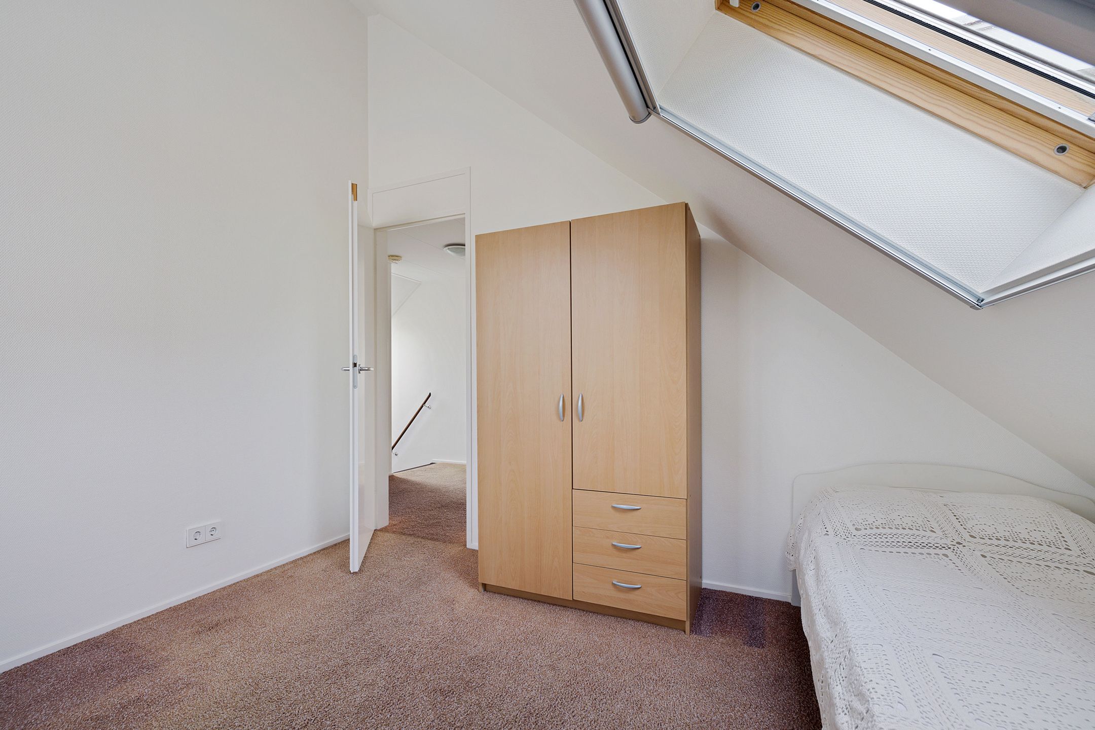 Foto 33 van Sleutelbloem 48