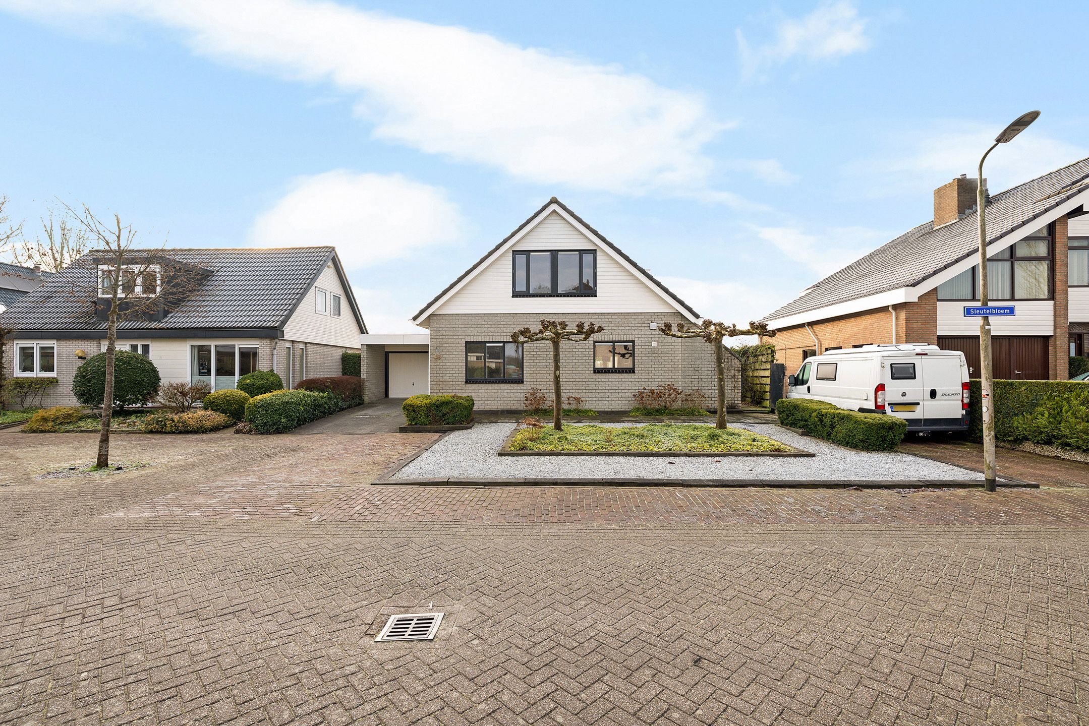 Foto 45 van Sleutelbloem 48