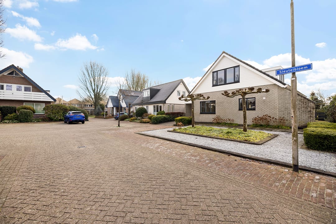 Foto 46 van Sleutelbloem 48