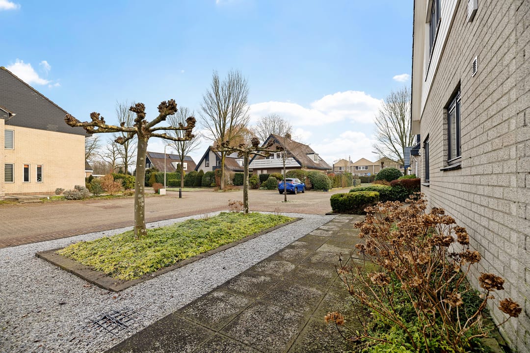 Foto 47 van Sleutelbloem 48