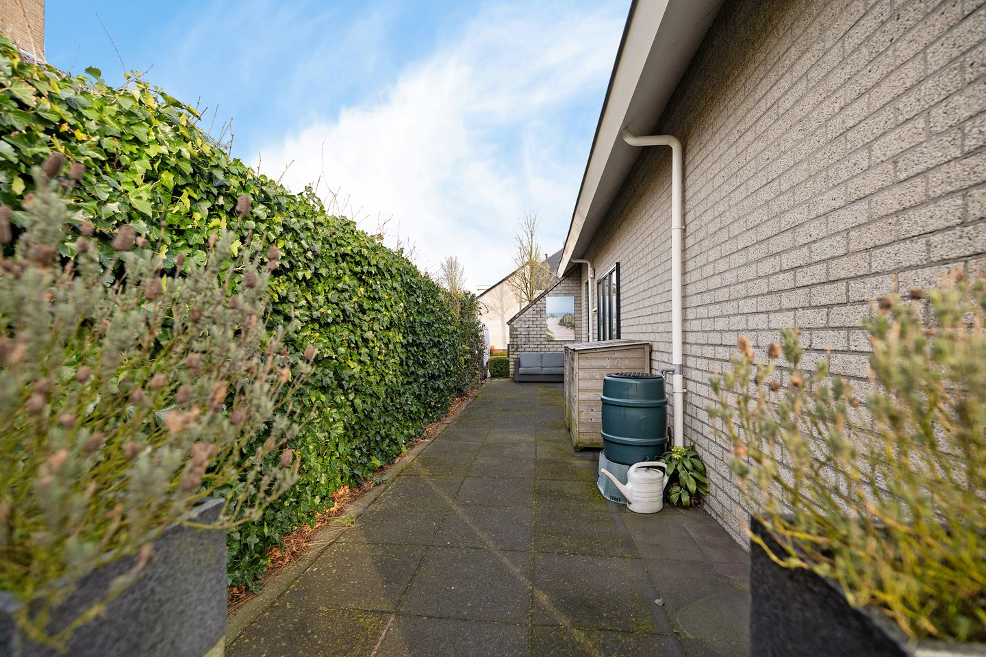 Foto 49 van Sleutelbloem 48