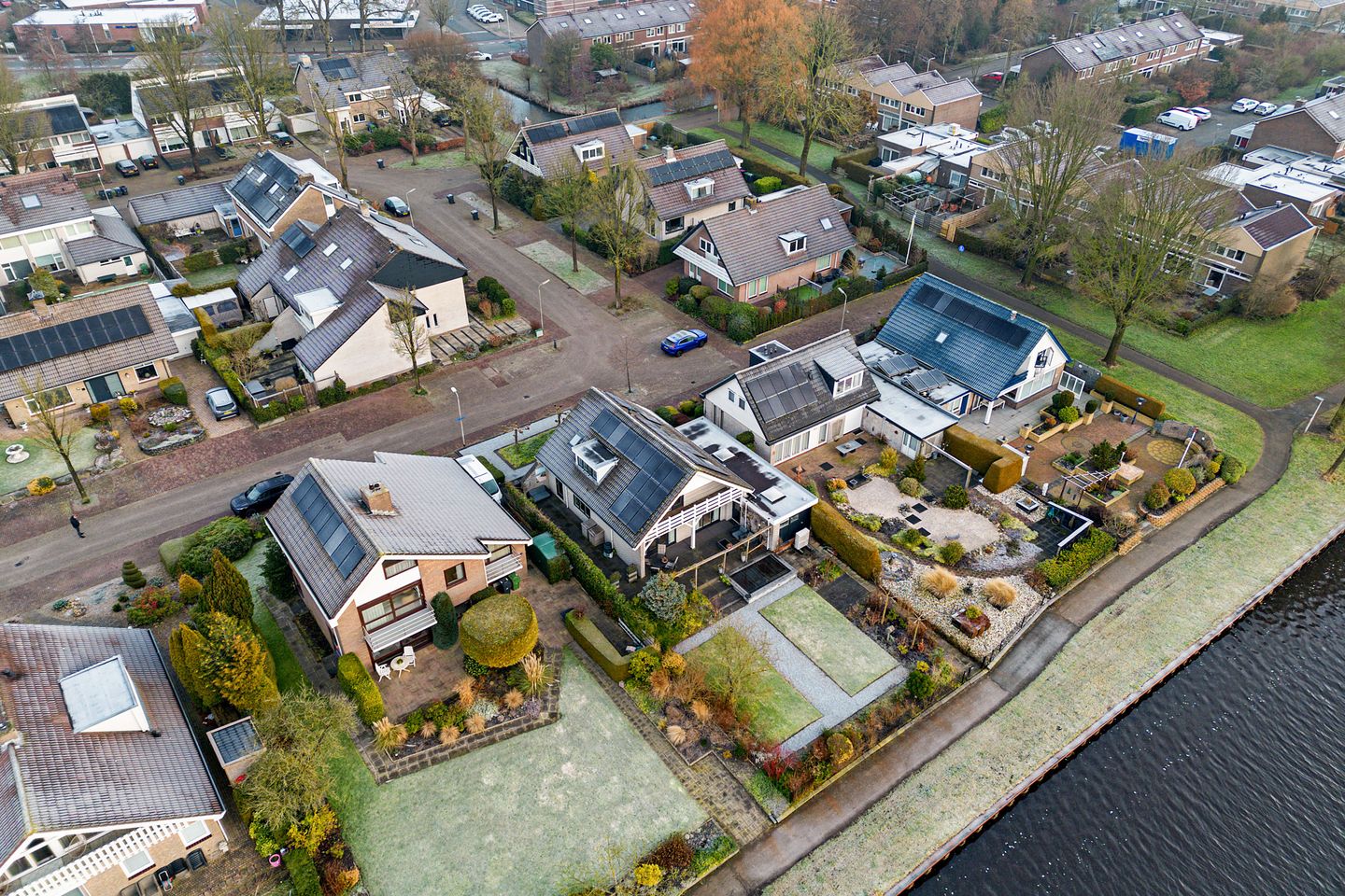 Foto 59 van Sleutelbloem 48