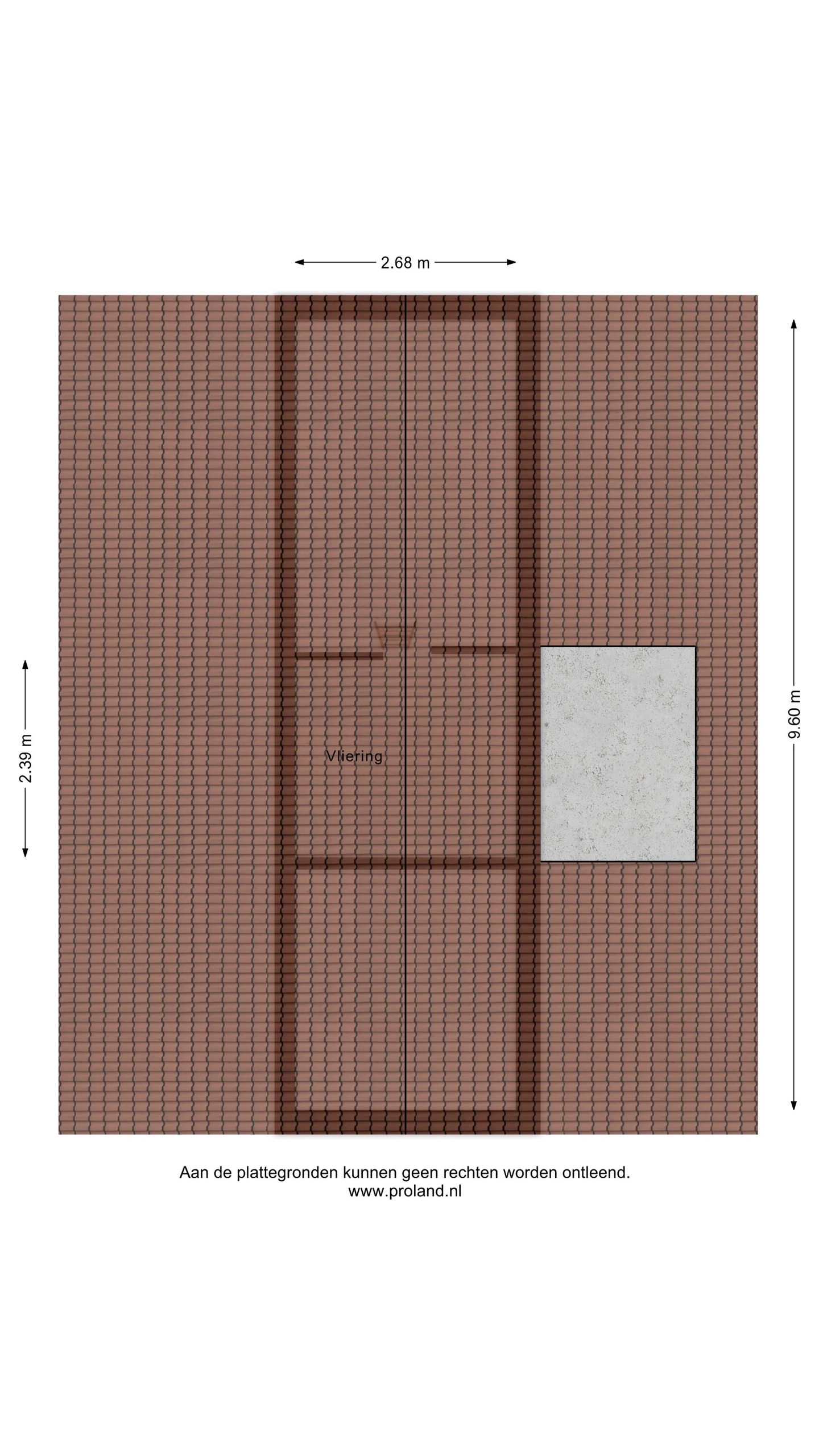 Foto 65 van Sleutelbloem 48